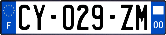 CY-029-ZM