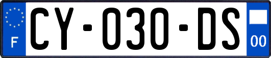 CY-030-DS
