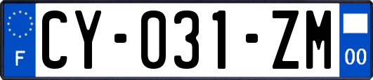 CY-031-ZM