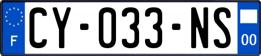 CY-033-NS