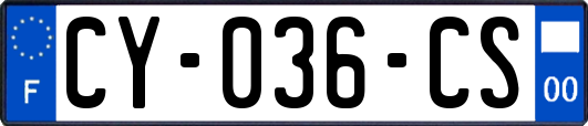 CY-036-CS