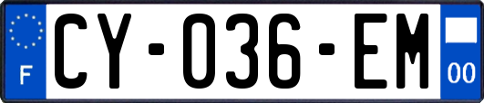 CY-036-EM