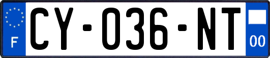 CY-036-NT