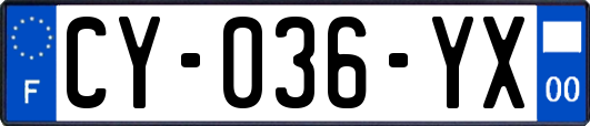 CY-036-YX
