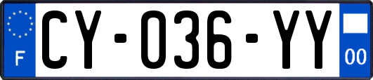 CY-036-YY
