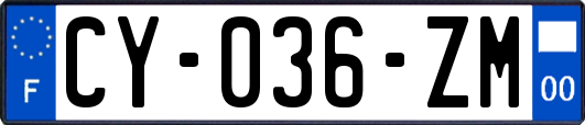 CY-036-ZM