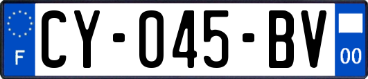 CY-045-BV