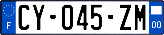 CY-045-ZM