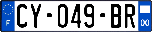 CY-049-BR