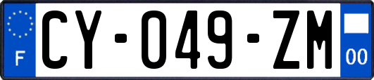 CY-049-ZM