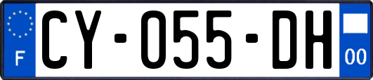 CY-055-DH