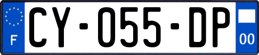 CY-055-DP