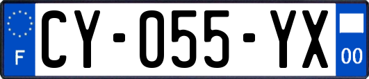 CY-055-YX