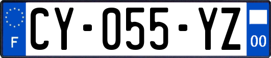 CY-055-YZ