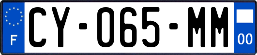 CY-065-MM