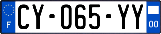 CY-065-YY