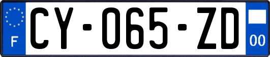 CY-065-ZD