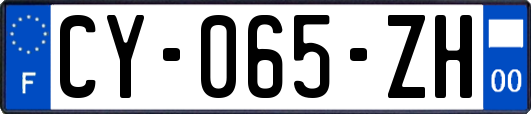 CY-065-ZH