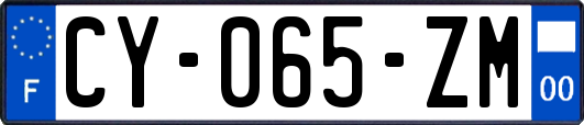 CY-065-ZM