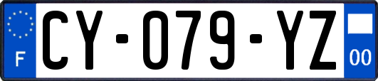 CY-079-YZ
