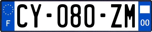 CY-080-ZM
