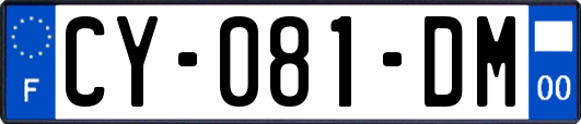 CY-081-DM