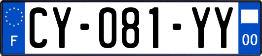 CY-081-YY