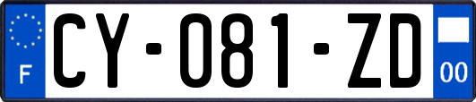 CY-081-ZD