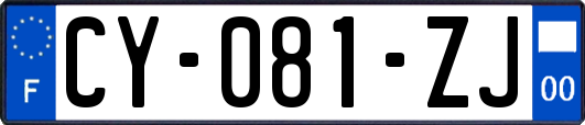 CY-081-ZJ