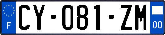 CY-081-ZM