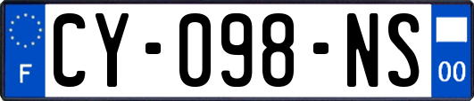 CY-098-NS