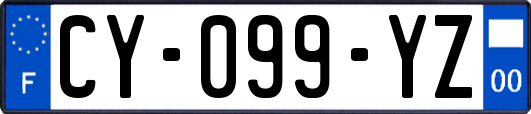 CY-099-YZ
