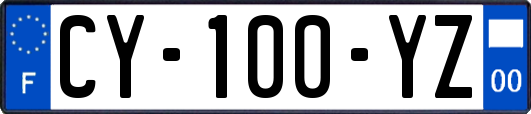 CY-100-YZ