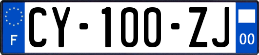 CY-100-ZJ