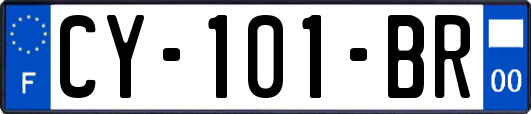 CY-101-BR