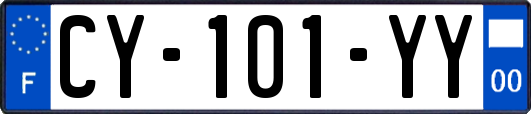 CY-101-YY