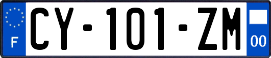 CY-101-ZM