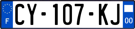 CY-107-KJ