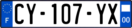CY-107-YX