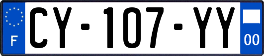 CY-107-YY