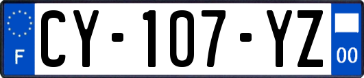 CY-107-YZ
