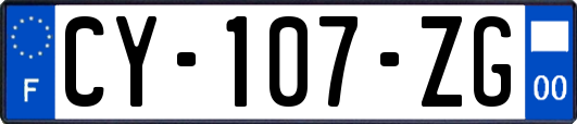CY-107-ZG
