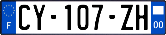 CY-107-ZH