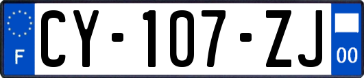 CY-107-ZJ