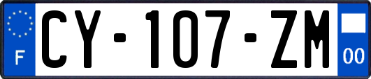 CY-107-ZM