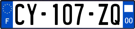 CY-107-ZQ