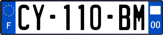 CY-110-BM