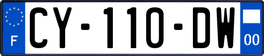 CY-110-DW