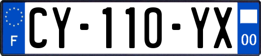 CY-110-YX