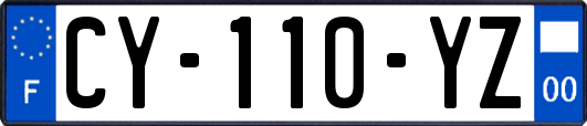 CY-110-YZ